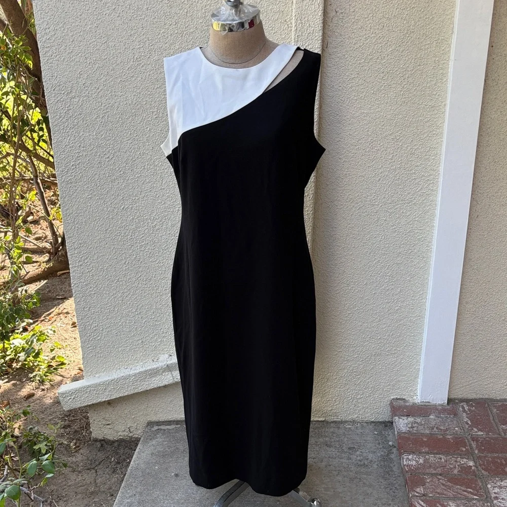 NWT Judith & Charles Black and White beautiful Sleeveless Massena two tone Dress